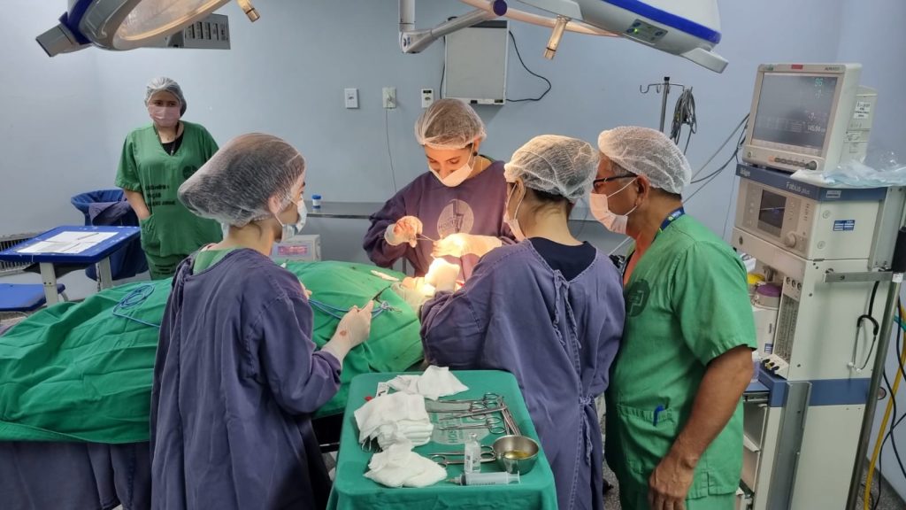 Jornada de cirurgia