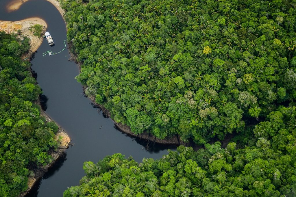 Amazonas