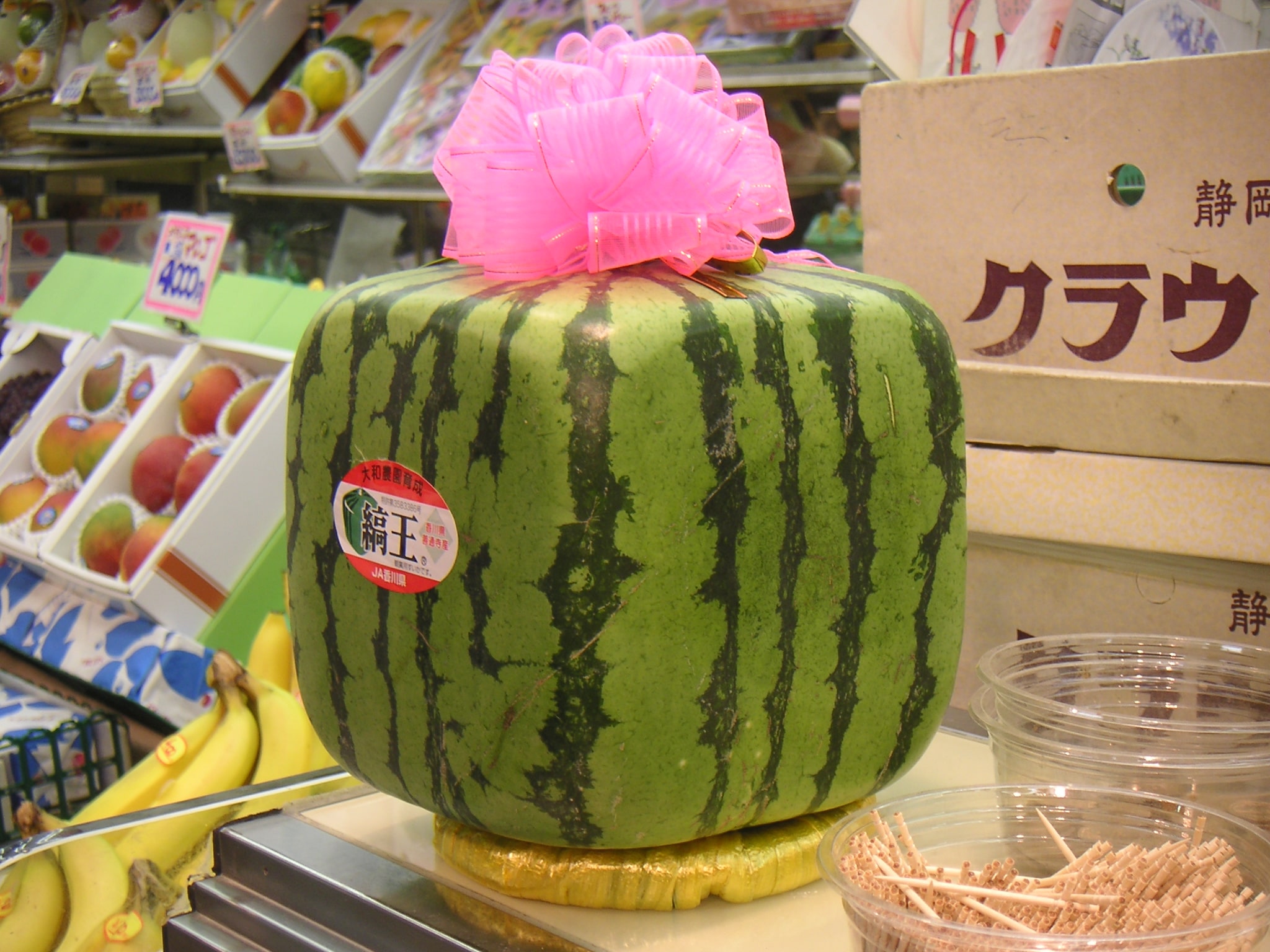 6 curiosidades sobre o Japão