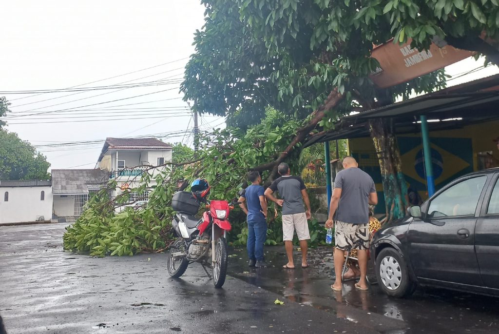 Árvore Cai Sobre Bar Durante Forte Temporal em Manaus