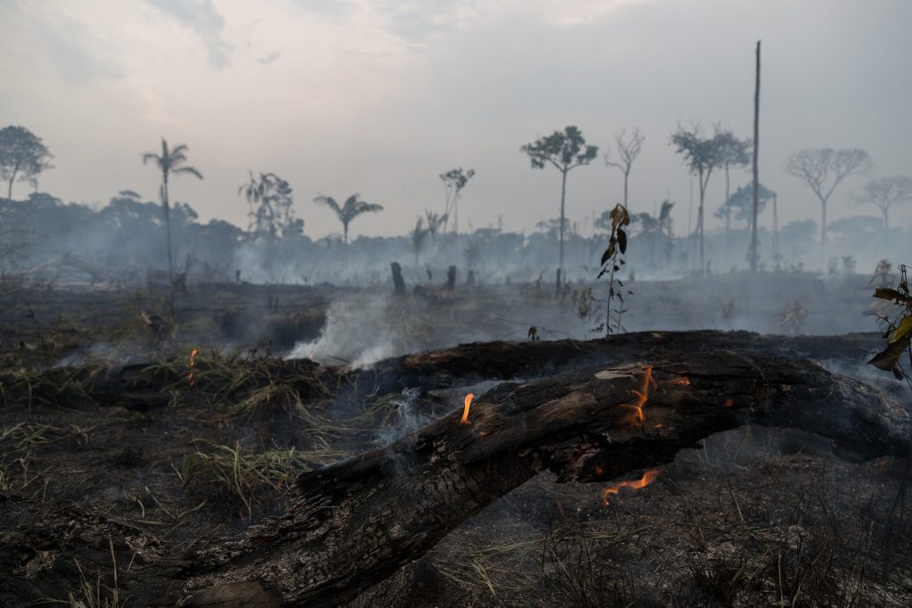 Amazonas registra segundo maior número de queimadas em setembro.