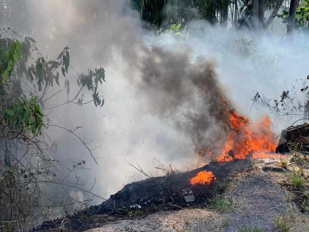 Incêndio atinge área de mata em manaus