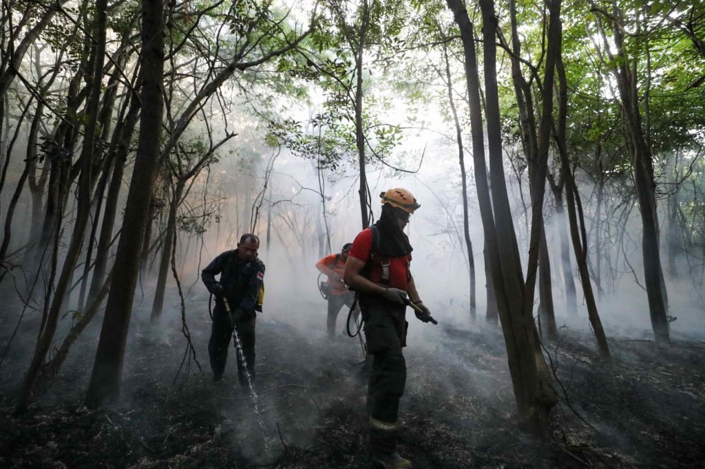 Brigadistas contratados reforçam combate a queimadas