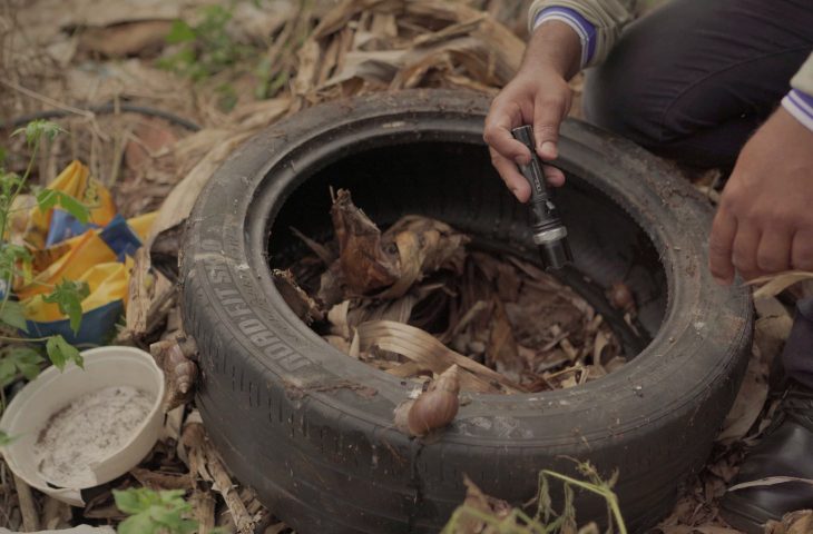 como se prevenir da dengue