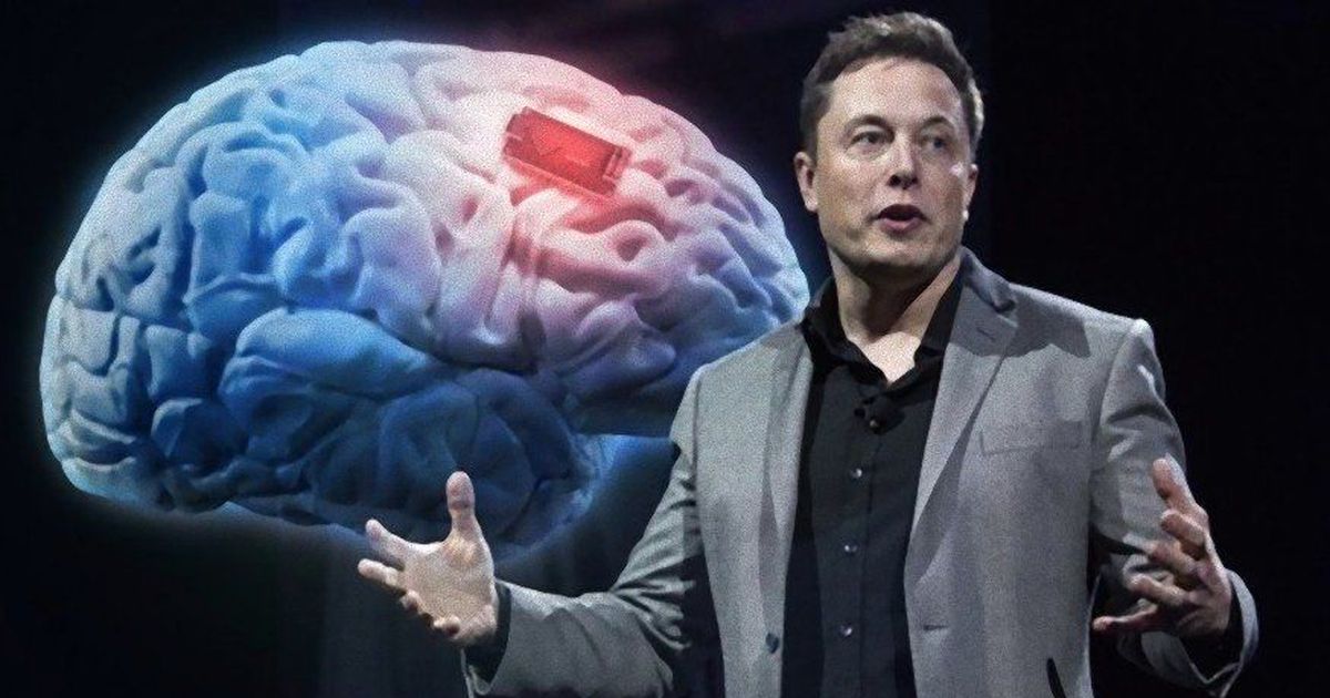A busca pela imortalidade: a visão de Elon Musk sobre a fusão do cérebro humano com a tecnologia