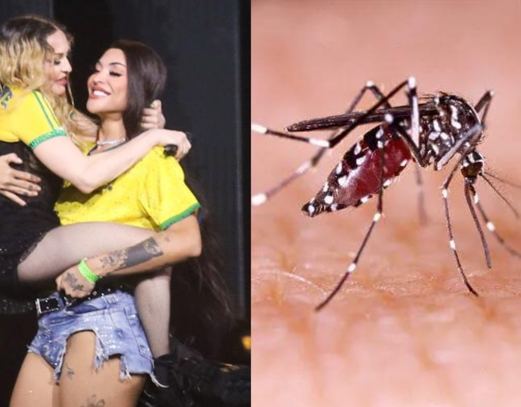 Crise de dengue no Brasil
