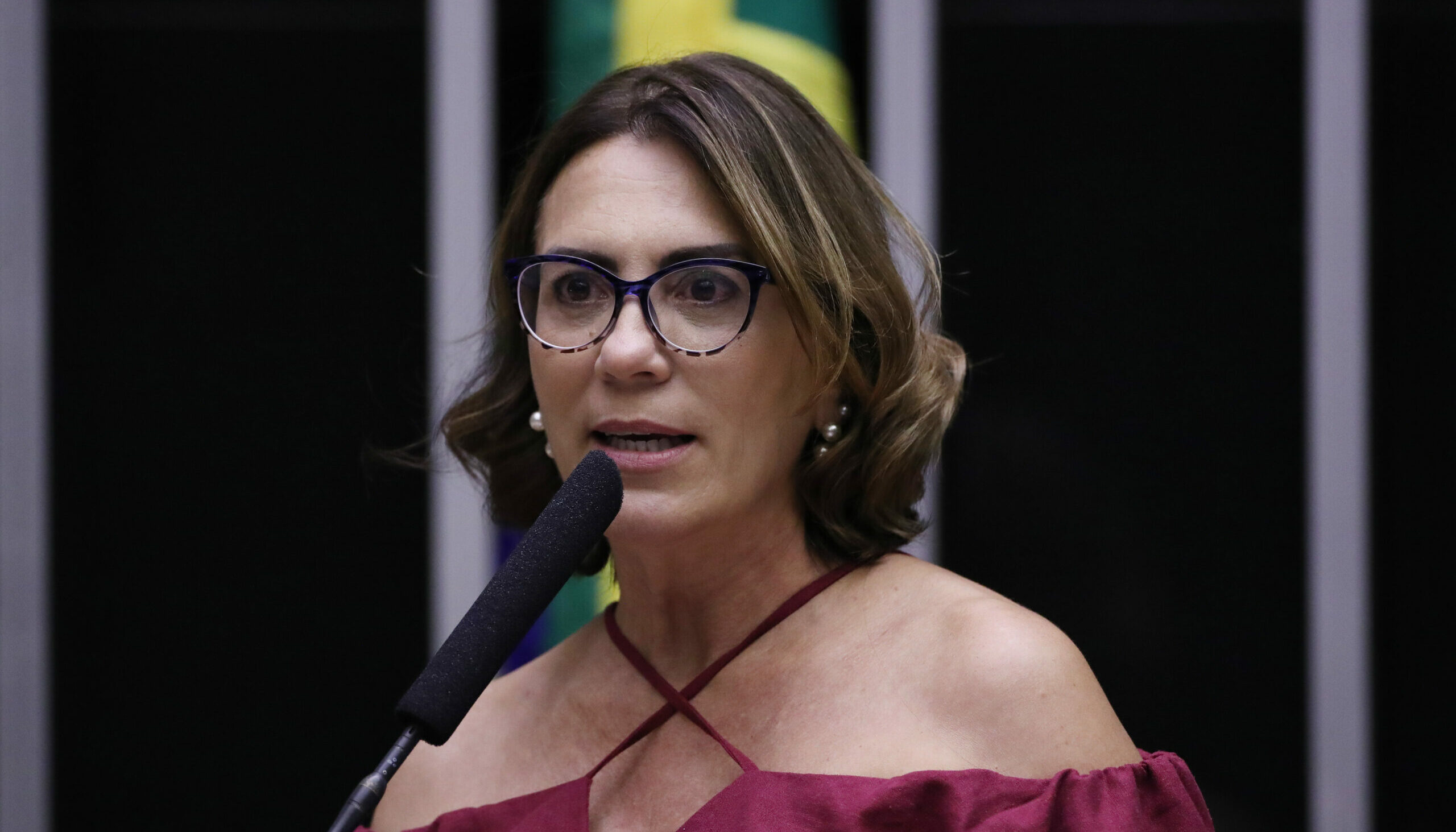 Deputada federal propõe aumentar pena para roubo e furto de celular