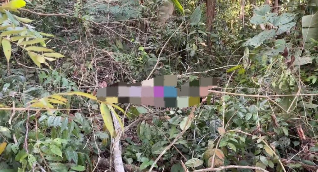 Corpo de homem é encontrado com oito tiros em área de mata na Zona Leste de Manaus