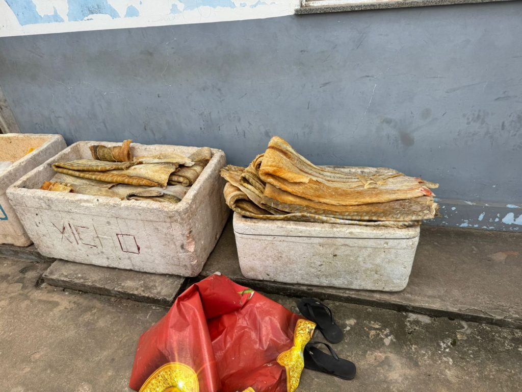 Polícia apreende cerca de meia tonelada de carne de caça e pescado ilegal no AM