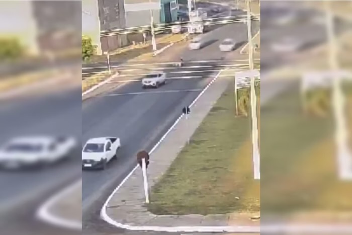 Vídeo: Três crianças são atropeladas enquanto atravessam avenida com a mãe