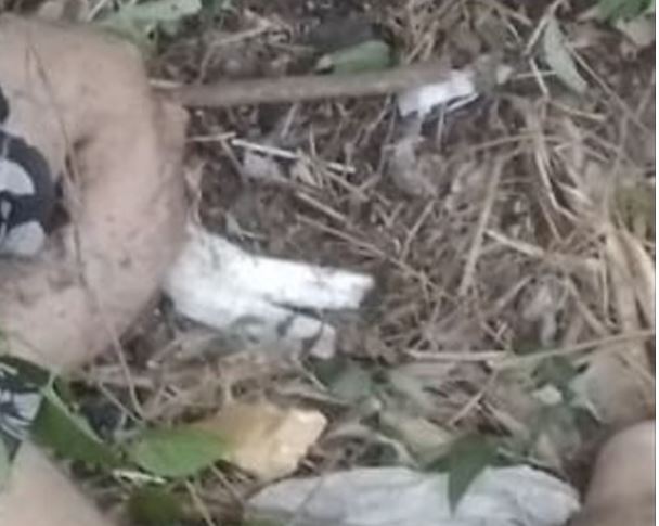 Motociclista morre enquanto trafegava na contramão em Manaus