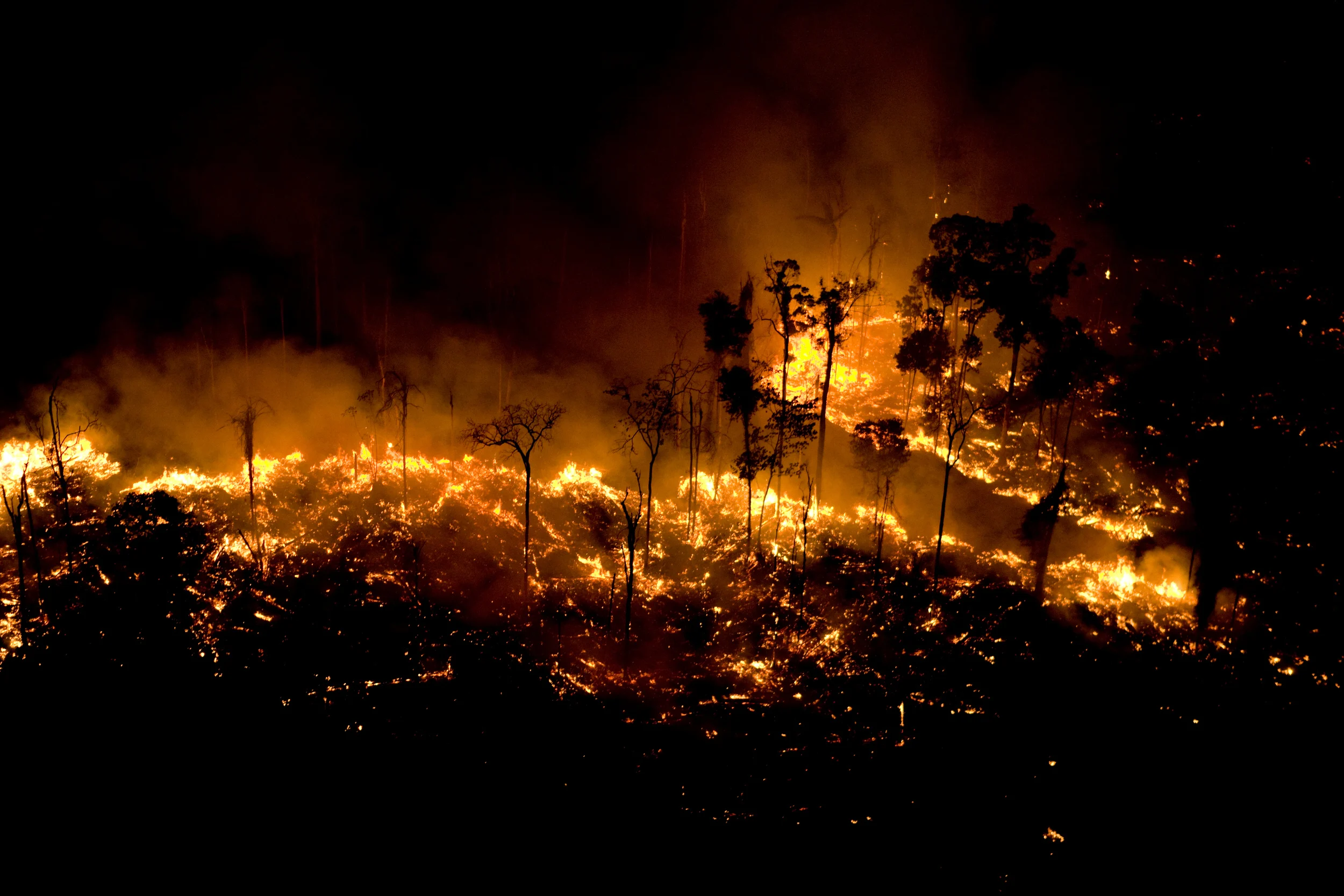 Prepare-se! Temporada do fogo se aproxima da Amazônia e pode bater recorde de queimadas