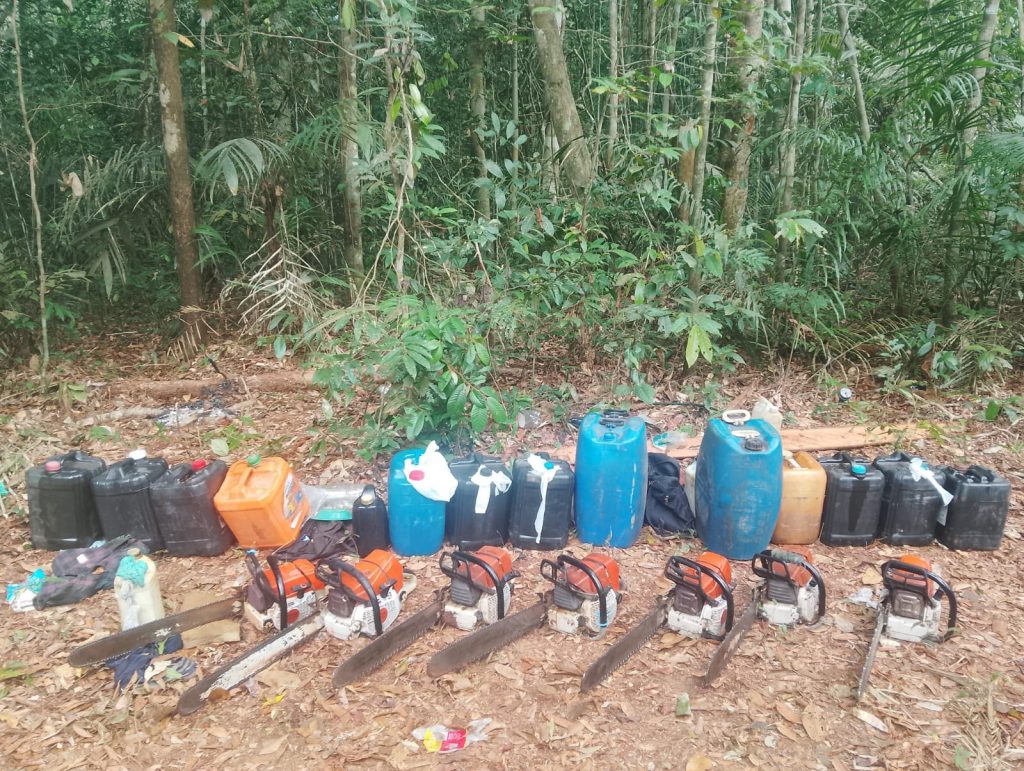 Crime ambientais: Ipaam aplica multas e faz apreensões de equipamentos na Operação Curupira no AM