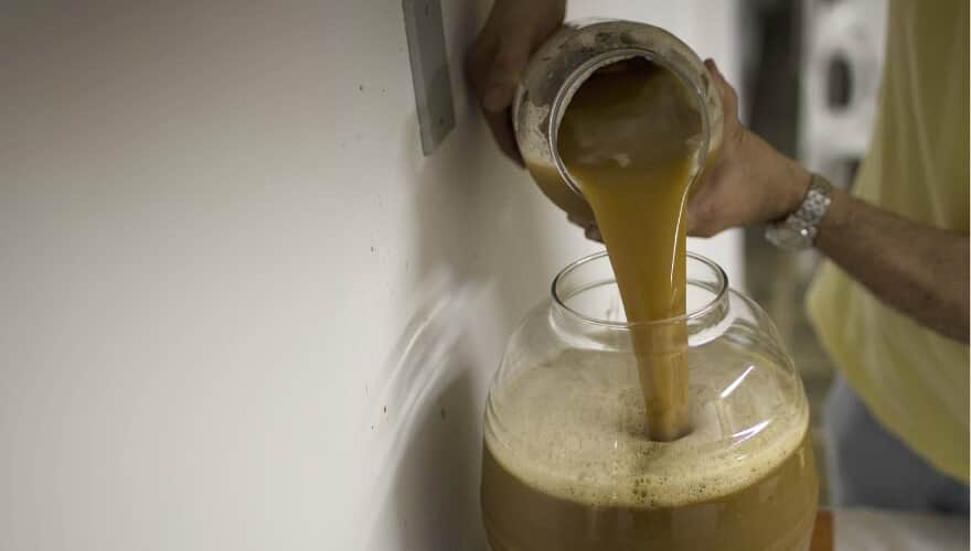 Juiz proíbe que criança tome chá de Ayahuasca em cultos com a mãe