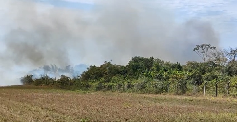 Incêndio atinge área de mata próxima ao aeroporto de Manicoré no Amazonas; assista