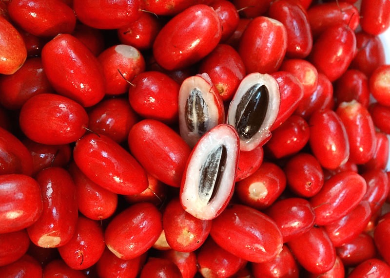 Fruta do Milagre: Já ouviu falar sobre essa fruta?