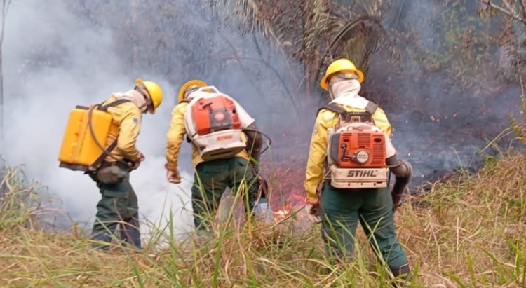 Brigadistas do Ibama lutam contra queimadas e incêndios no interior do Amazonas