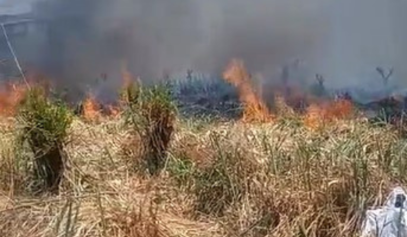 Incêndio atinge área de mata na avenida Brasil na Zona Oeste de Manaus
