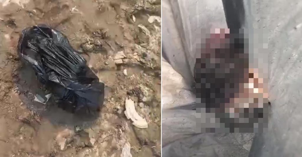 Cabeça humana é encontrada no bairro Educandos em Manaus e pode ser de jovem encontrado decapitado