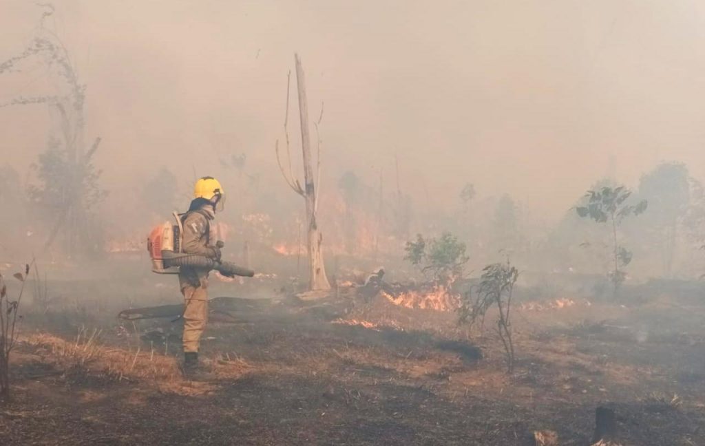 Área de pasto é devastada por incêndio em Apuí, no Amazonas
