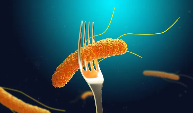 o que é Salmonella