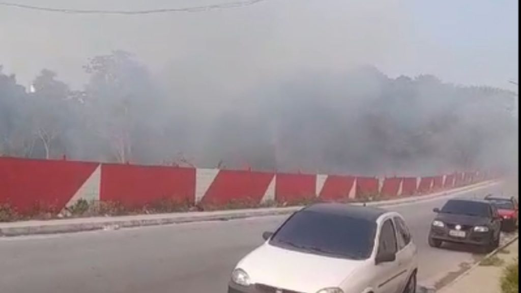 Vídeo: fogo se alastra rapidamente em área de mata na zona Norte de Manaus