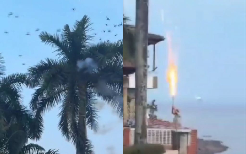 Vídeo mostra homem usando fogos de artifício contra passarinhos no Amazonas