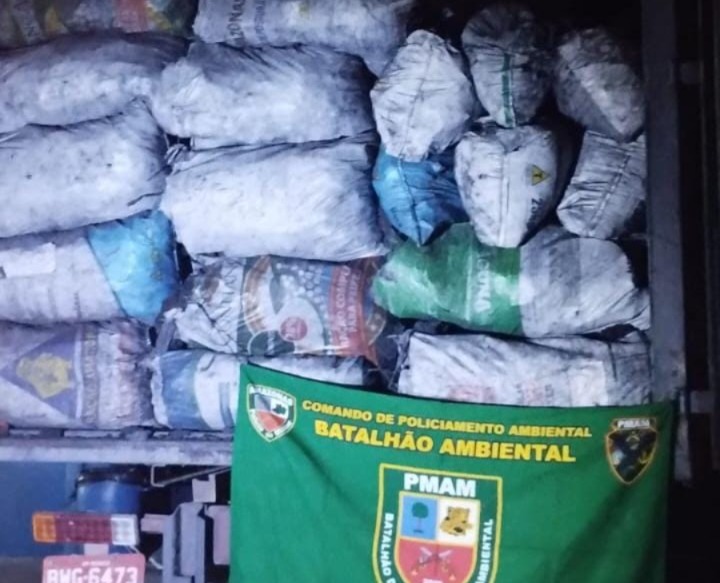 Polícia apreende carga ilegal de carvão avaliada em mais de R$ 75 mil em Manaus