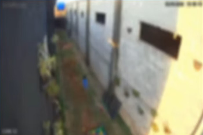 Criança envolvida em morte de 23 animais visitou local na véspera do massacre