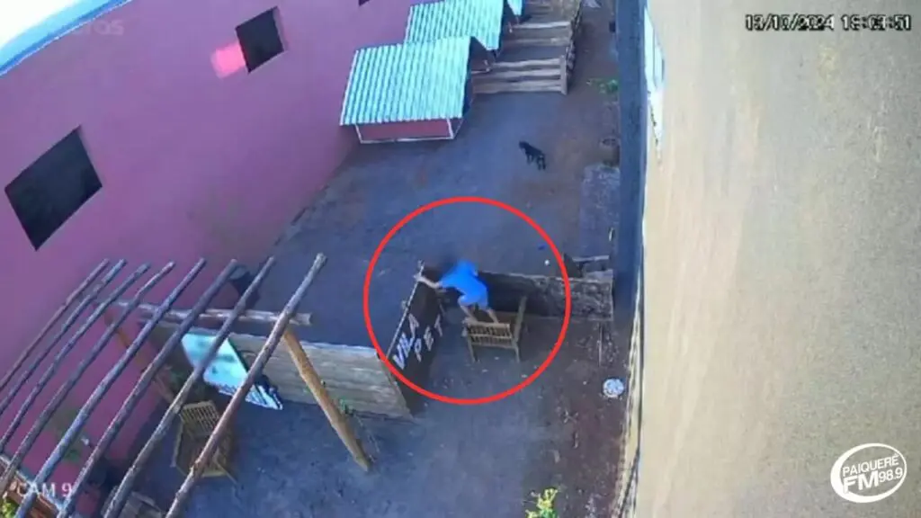 Criança de 9 anos pula muro de hospital veterinário e mata 23 animais 
