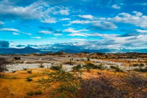 patagonia