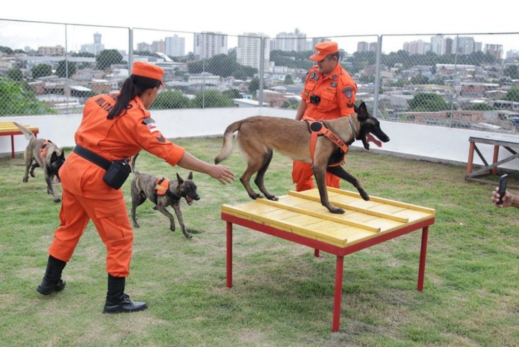 Foto: Arthur Castro/Secom