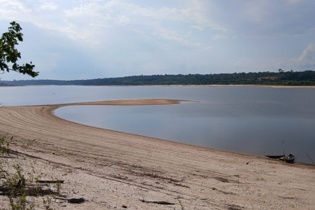 Chuvas na Amazônia e no Pantanal ficaram até 40% abaixo do normal em 2024, aponta OMM