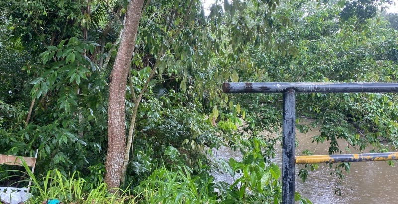 Corpo de homem com sinais de tortura é encontrado em área de mata na Zona Norte de Manaus