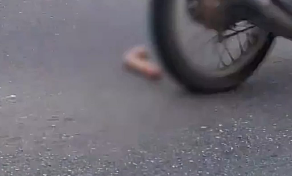 Vídeo: Homem encontra 'pênis' jogado em estrada no interior do Amazonas