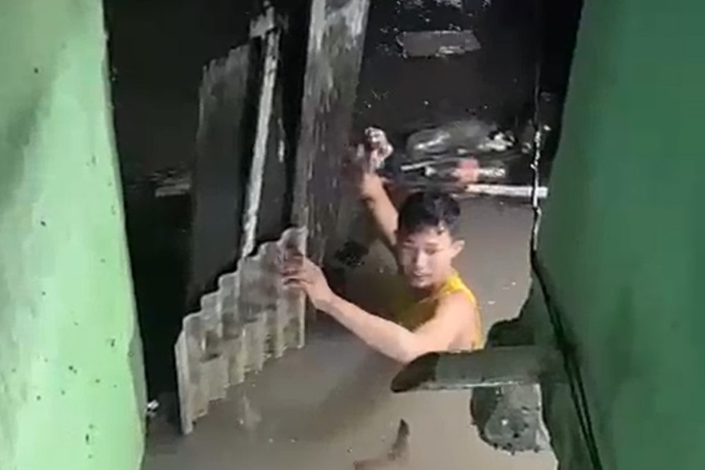 Morador enfrenta enchente para salvar galinha em Manaus; vídeo impressionante