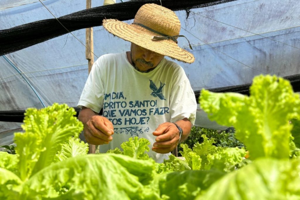 Foto: Divulgação/Idam