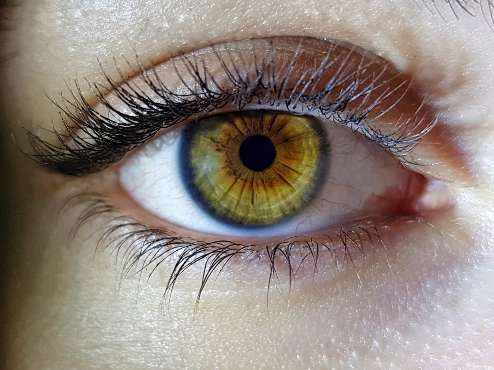 Pesquisa mostra que olhos podem prever demência