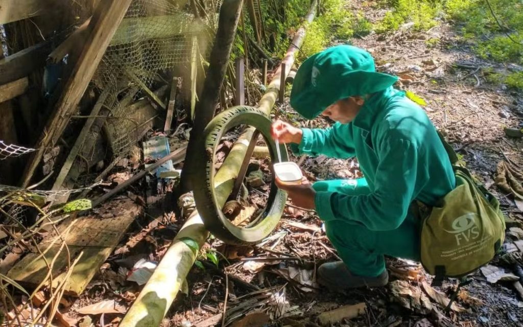 Amazonas registra quase 9 mil casos suspeitos de arboviroses em 2025