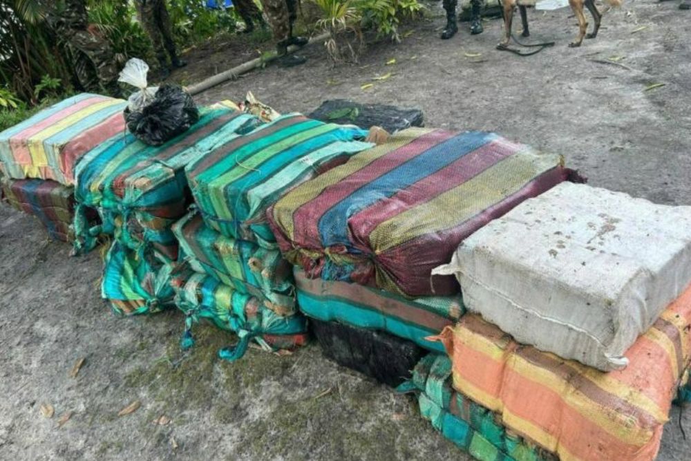 Polícia apreende quase uma tonelada de maconha avaliada em R$ 17 milhões no interior do AM