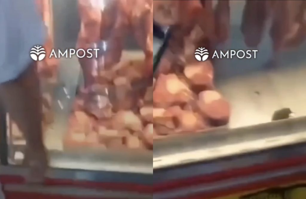 Vídeo mostra rato andando entre as carnes do açougue de supermercado em Manaus; assista