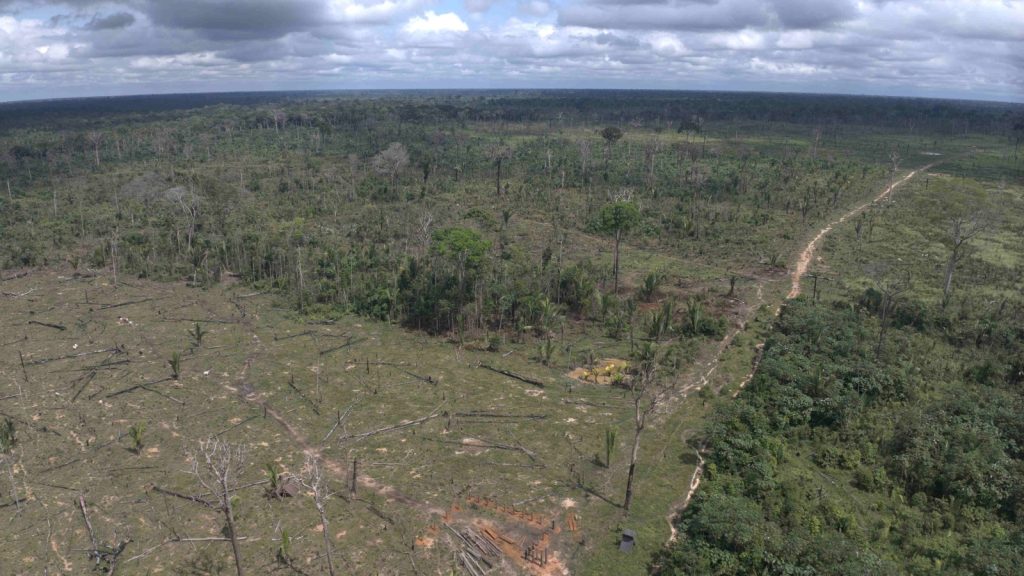Desmatamento ilegal próximo à Floresta de Tapauá resulta em multa de R$ 5,4 milhões