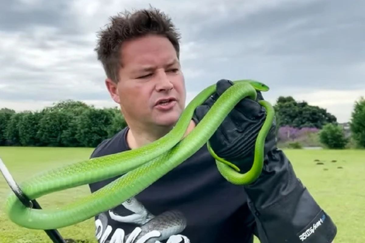 Youtuber morre após picada de cobra Mamba-Verde durante gravação com animais
