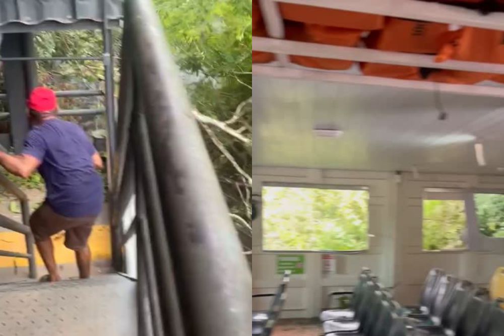 Balsa desgovernada bate em barranco, arranca árvores e causa pânico na Amazônia
