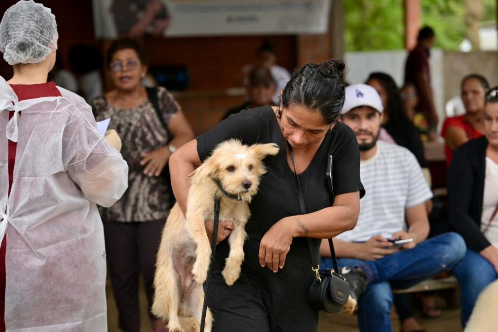 Serviços de castração e vacinação animal da Sepet no bairro Jorge Teixeira em Manaus