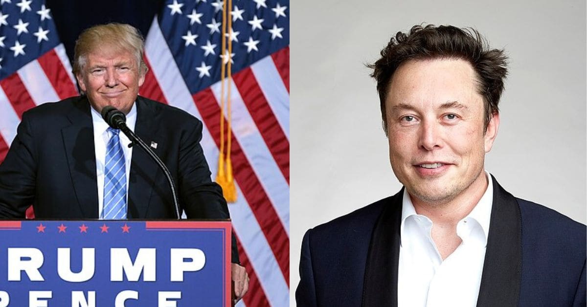 Trump sugere que Elon Musk pode ser deportado