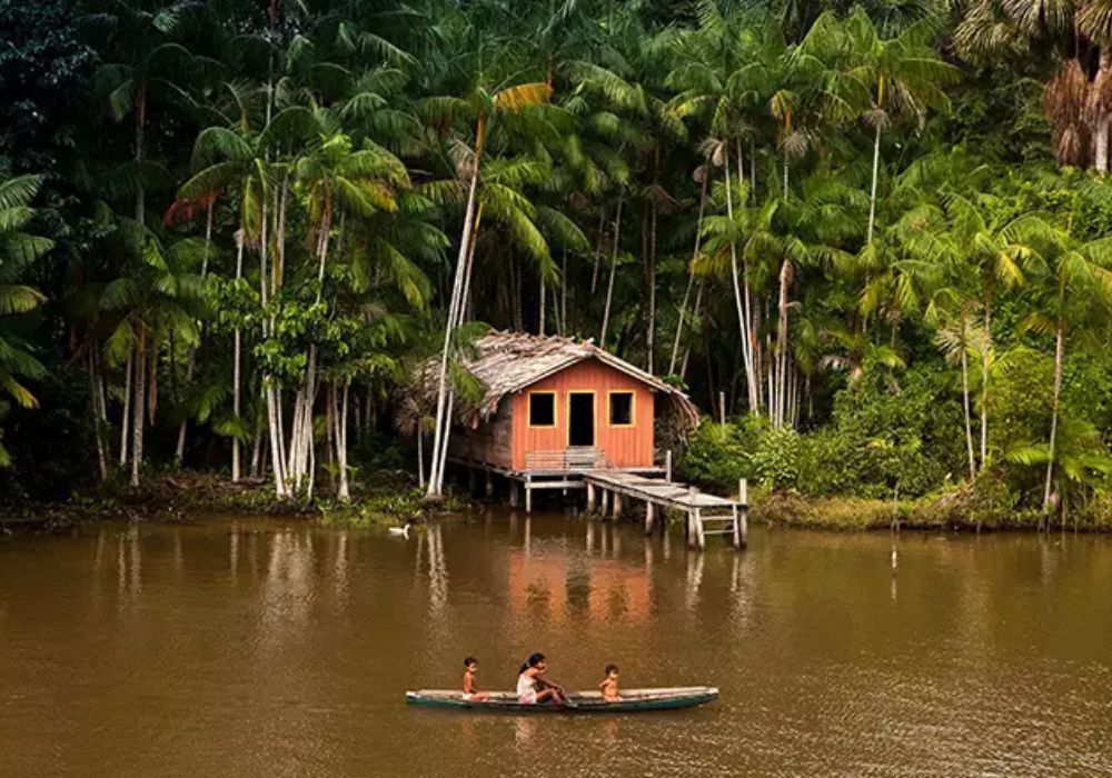Amazonas na COP-30