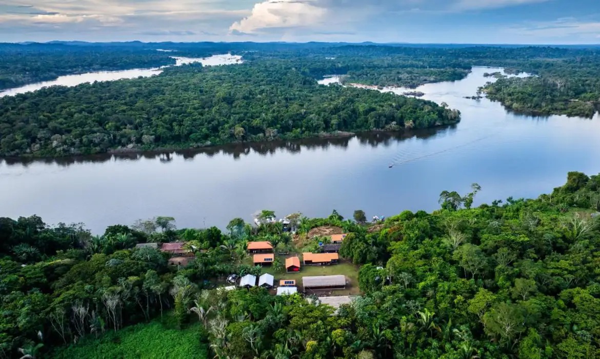 Imagem representativa da redução de desmatamento no amazonas