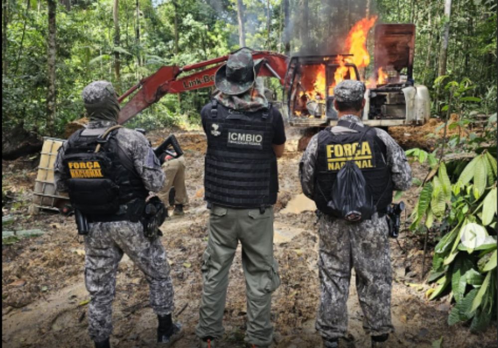 Força Nacional Amazônia