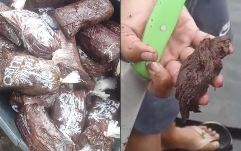 Fraude no açaí: consumidor mostra produto com adição de papel higiênico para engrossar o caldo